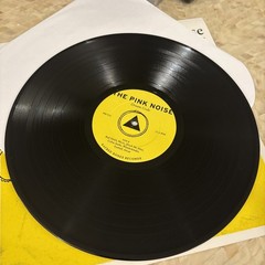 THE PINK NOISE Dream Code 12” Vinyl LP Sacred Bones SBR-005 2008