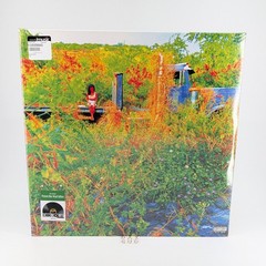 JHENE AIKO Trip 2026 Record Store Day 2LP Picture Disc Vinyl New Sealed RSD