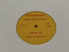 HOLLYWOOD MIXER 12″ SURVIVE MIX ~I WILL SURVIVE/AT MIDNIGHT LONG DJ MIX~