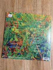 JHENE AIKO Trip USA 2LP Picture Disc Vinyl RSD Record Store Day 2026 Sealed