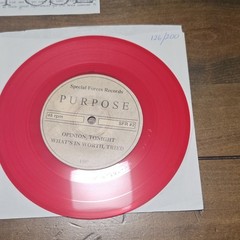 PURPOSE What’s In Worth 7″ RED VINYL Limited #126/200 NJHC Special Forces 1997