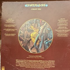 Marvin Gaye ‘I Want You’ Vinyl Record