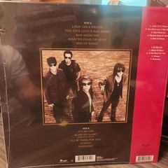Bon Jovi “Greatest Hits” Limited Edition Tiger Eye LP/Vinyl Compilation New
