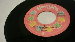 LOT OF 10 1970s 45 RPM EASY LISTENING H. REDDY, A. MURRAY, W. NEWTON, OCEAN