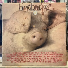 [ROCK/POP]~VG+/VG LP~VARIOUS ARTISTS~GUTBUCKET: AN UNDERWORLD ERUPTION~[1969]~UK