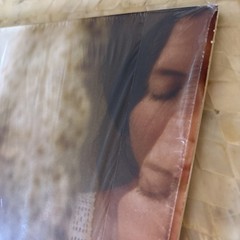 ALELA DIANE To Be Still ROUGH TRADE 2X LP w/ Lyric Insert Vinyl Record