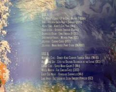 Bloop Relaxing Waters Vinyl Video Game Soundtrack Not Moonshake VGM OST 2D Ninja