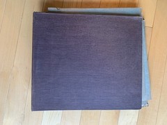 78 Rpm RCA Album. 10 Pages, some loose. 5 Records. Various Labels. Vintage.