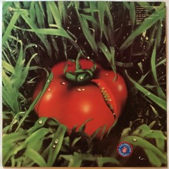 Experimental Prog Rock Italian Psych Banco “Di Terra” LP Original Press IMPORT