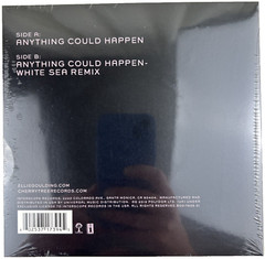 Ellie Goulding: Anything Could Happen 2012 Synth-Pop 7″ Limited Vinyl Single