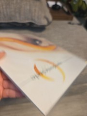 Thirteenth Step by Perfect Circle (Record, 2003) 1st Pressing Mint New Unopened!