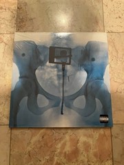 AUTOGRAPHED SIGNED Lorde VIRGIN GATEFOLD X-Ray Picture Disc Vinyl LP *IN HAND*