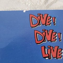Bruce Dickinson Dive! Dive! Live! Picture Disc Vinyl 1990 EMI 12″ 12EMPD 151