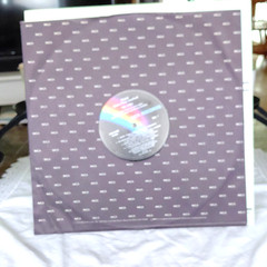 MCA Records The Sting Soundtrack 1974 12″ Black Vinyl LP MCA-2040 Cover