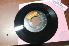 THE HOLLYWOOD ARGYLES ALLEY-OOP / THE CASTAWAYS LIAR LIAR 45 RPM RECORD
