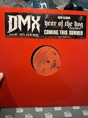 Lot of 20 Rap/Gangsta/Hip-Hop Lp’s 12″ Singles 1990’s-2000’s DMX Lil Jon more #1