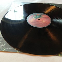 Experimental Prog Rock Italian Psych Banco “Di Terra” LP Original Press IMPORT