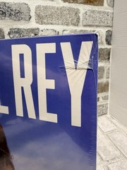 Born to Die Lana Del Rey Vinyl New