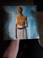 Motherfolk The Flower + The Bee NEW MINT SPLATTER VINYL.