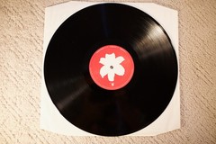 Adrian Sherwood, “Never Trust A Hippy,” 2003 EU Double Vinyl, Ultrasonic, MINT!