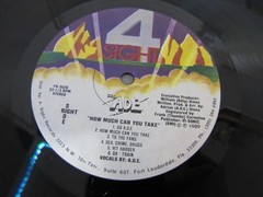 MC A.D.E. How Much Can You Take 12” Vinyl Record Old School Bass Speaker Music