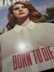 Lana Del Rey Born to Die 12″ Black Vinyl LP Pop Interscope Cardboard Sleeve