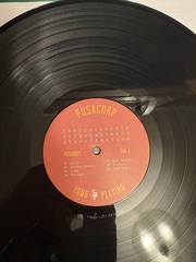 The Presidents of the USA Presidents Of The United States Of America Mint/Vinyl