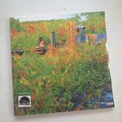JHENE AIKO Trip SEALED limited edition 2LP Picture Disc RSD