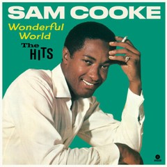 Wonderful World: the Hits [Limited Colored Vinyl] by Cooke, Sam (Record, 2021)