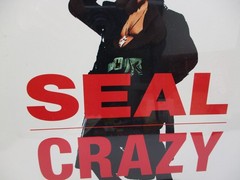 SEAL – CRAZY / SPARKLE – SIRE RECORDS ORIGINAL PRESSING SEALED.
