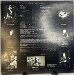Alive & Well Private Press Vinyl LP Grand Rapids MI Dave Jones Folk Rock Rare