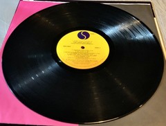 THE ENGLISH BEAT : LOT OF 3 : VINYL LP : SPECIAL•WHA’PPEN?•I JUST CAN’T STOP IT