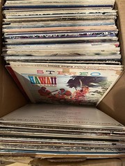 VINYL RECORD GRAB BAG! 10 ASST Music Albums, LP Bulk Lot, G-VG, FREE SHIPPING!