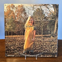 The Allman Brothers Band-Brothers & Sisters Vinyl Record 1973 Press. W/insert