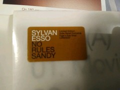 Sylvan Esso – “No Rules Sandy” (Vinyl Record LP) *TIGER’S EYE VINYL*