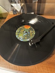 Lana Del Rey Violet Bent Backwards Over The Grass Vinyl