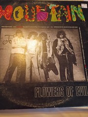 Flowers of Evil [ Black Vinyl] by Mountain Windfall Records 12″ 33rpm
