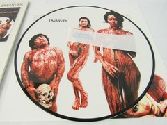 Dwarves – Sunshine Lollipops Rainbows 2025 Ltd Ed Picture Disc 12″ Vinyl LP