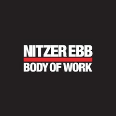Nitzer Ebb Body of Work (Vinyl) 12″ Album Box Set (UK IMPORT)