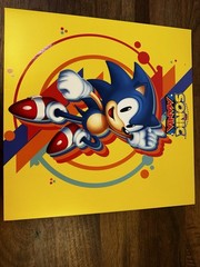 Sonic Mania Soundtrack Vinyl record video game soundtrack Rare OOP Data Disc
