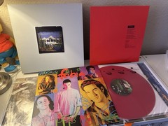 Fobia – Box Set 6 x LP & Sencillo (VG+ – EX, 2017 MX, Leche Destruye Rosa Mundo)