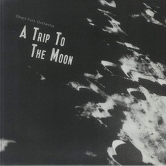 Ghost Funk Orchestra – A Trip To The Moon (LP) (Green Swirl)