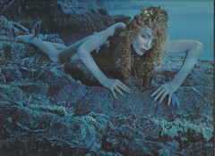 ROXY MUSIC siren LP VINYL RECORD POLYDOR uk 1975