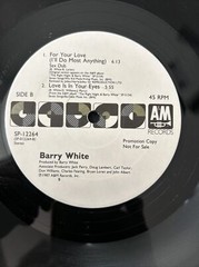 Barry White For Your Love (I’ll Do Most Anything) LP 45 PROMO Record 1987