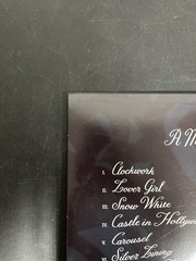 Laufey – A Matter … Monochromatic Anomaly Vinyl USED NOT TESTED