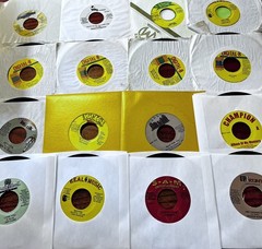 45 Special! DANCEHALL / REGGAE / DIGI BULK LOT! 110+ 45s!