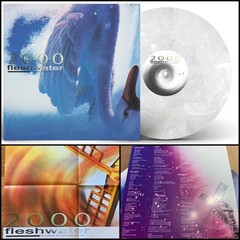 FLESHWATER 2000 In Search Of The Endless Sky LP Golden Pearl Vinyl-Whirr Loathe