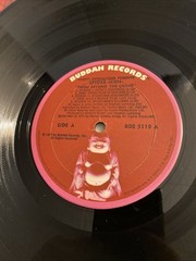 AMAZING SPIDER-MAN Beyond The Grave Rockomic! LP Vinyl With Poster 1972