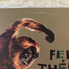 FEU THERESE – CA VA COGNER – VINYL – LP Record – Constellation Records