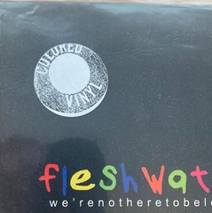 Fleshwater – We’re Not Here To Be Loved (LP, Album, Ltd, RP, Whi) (Mint (M)) –